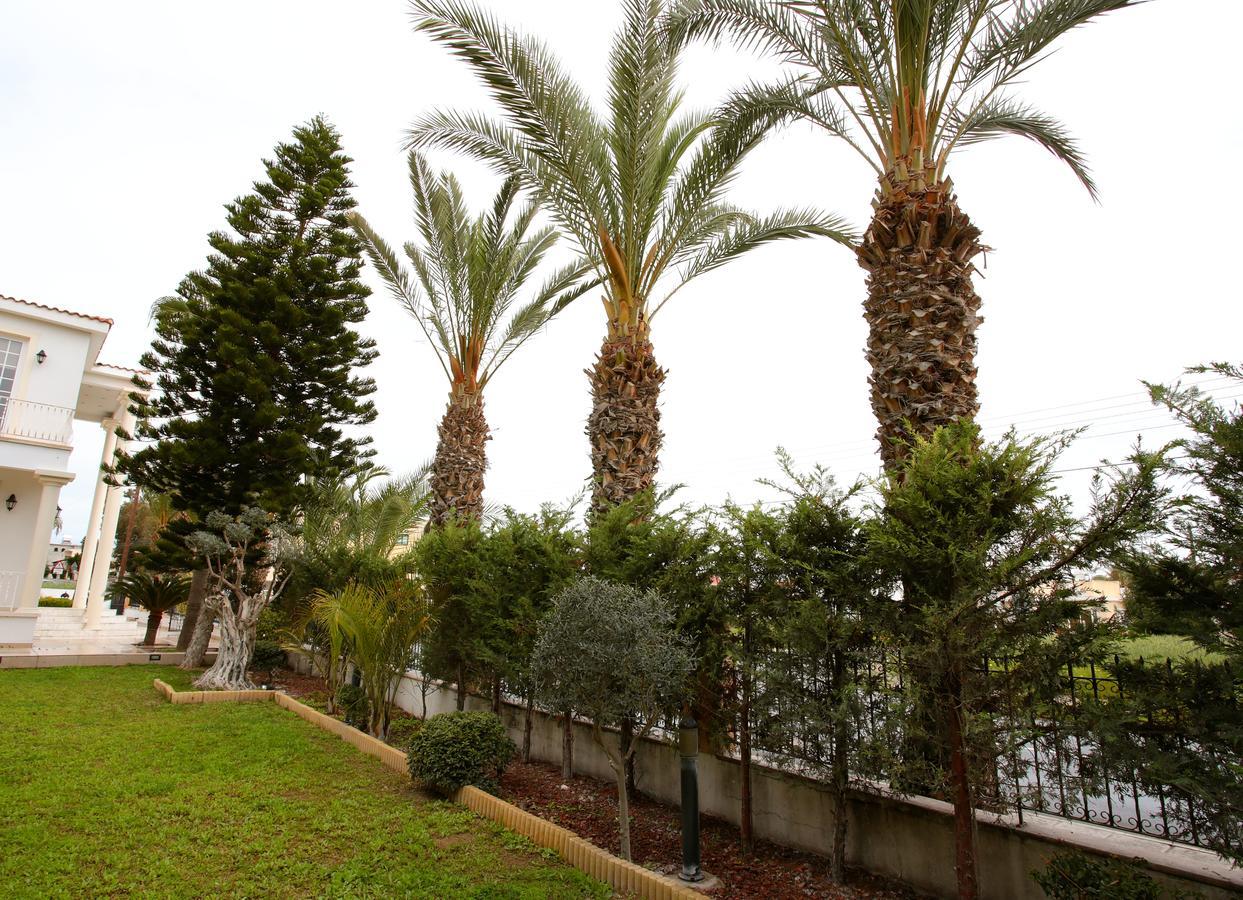 Villa The White House Larnaka Exterior foto
